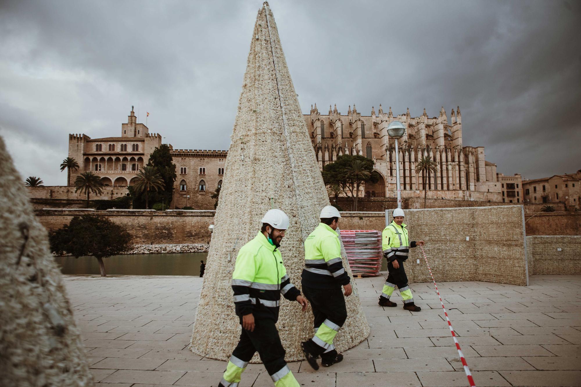 Cort empieza a montar el árbol iluminado del Parc de la Mar