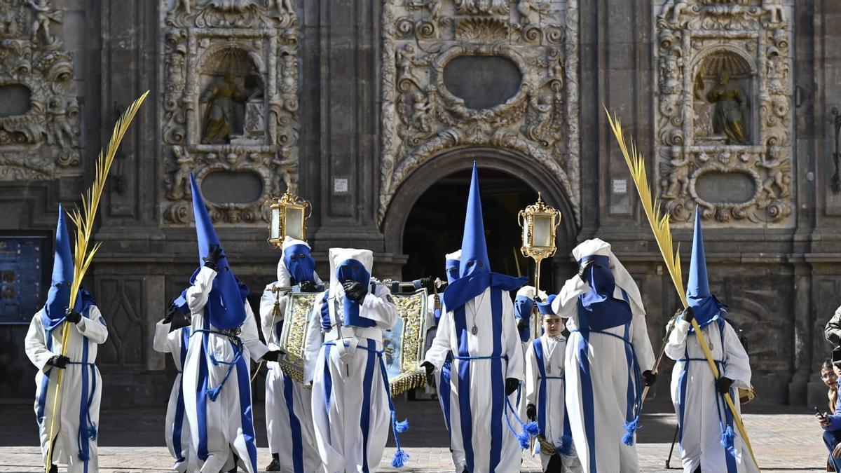 Domingo de Ramos en Zaragoza con las palmas al son del cierzo