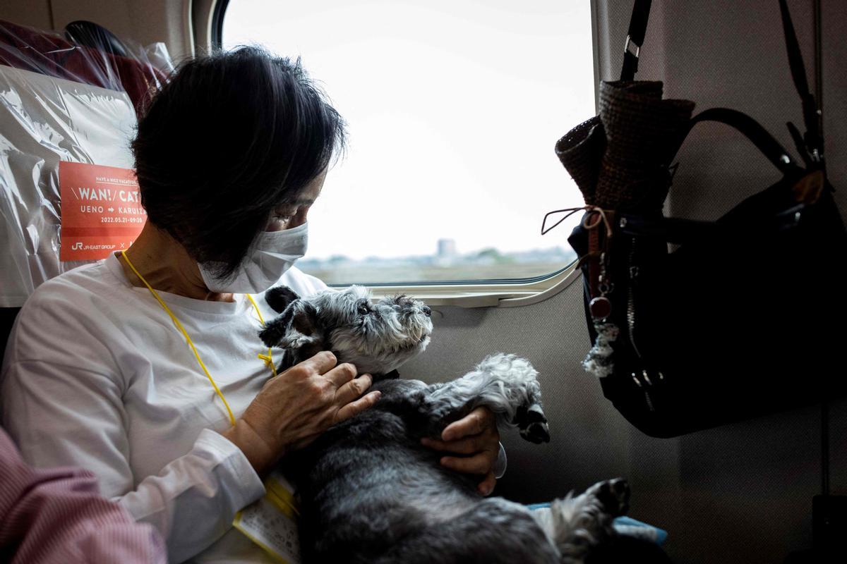 Dueña y mascota viajan cómodos en el tren bala.