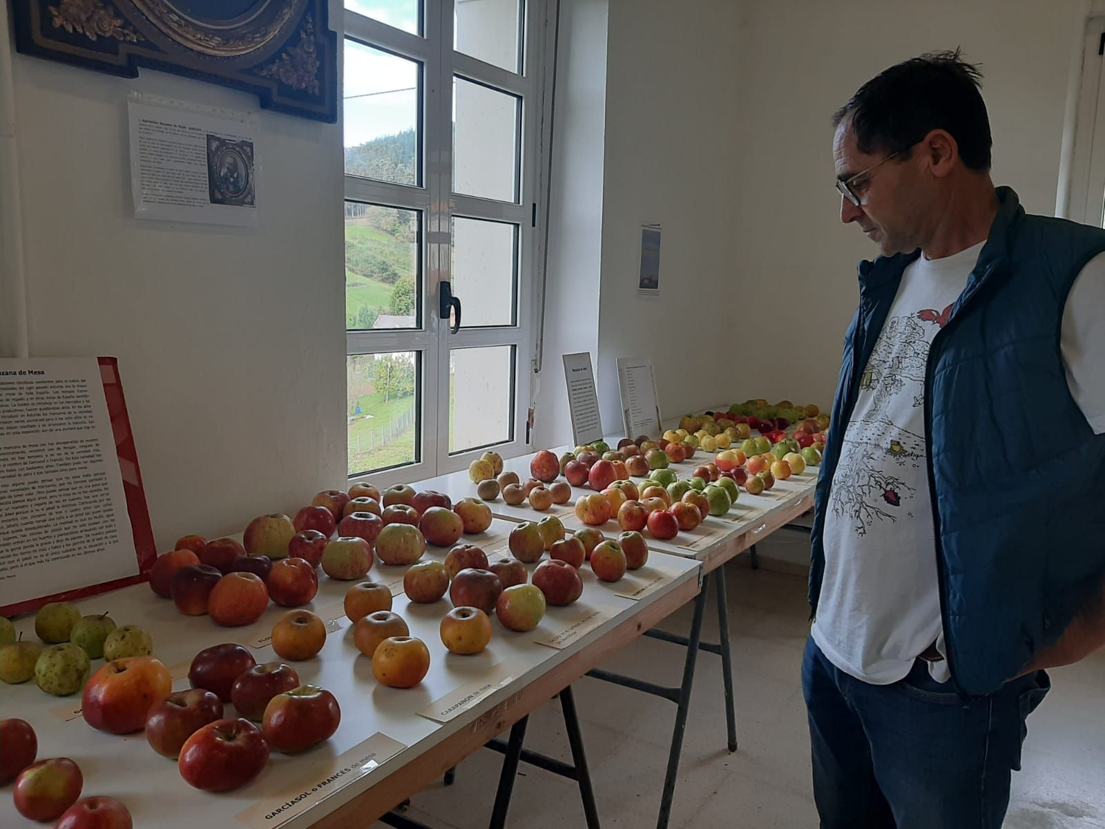 Muñó, capital de la manzana de Siero: así ha sido la exposición de variedades organizada por los vecinos