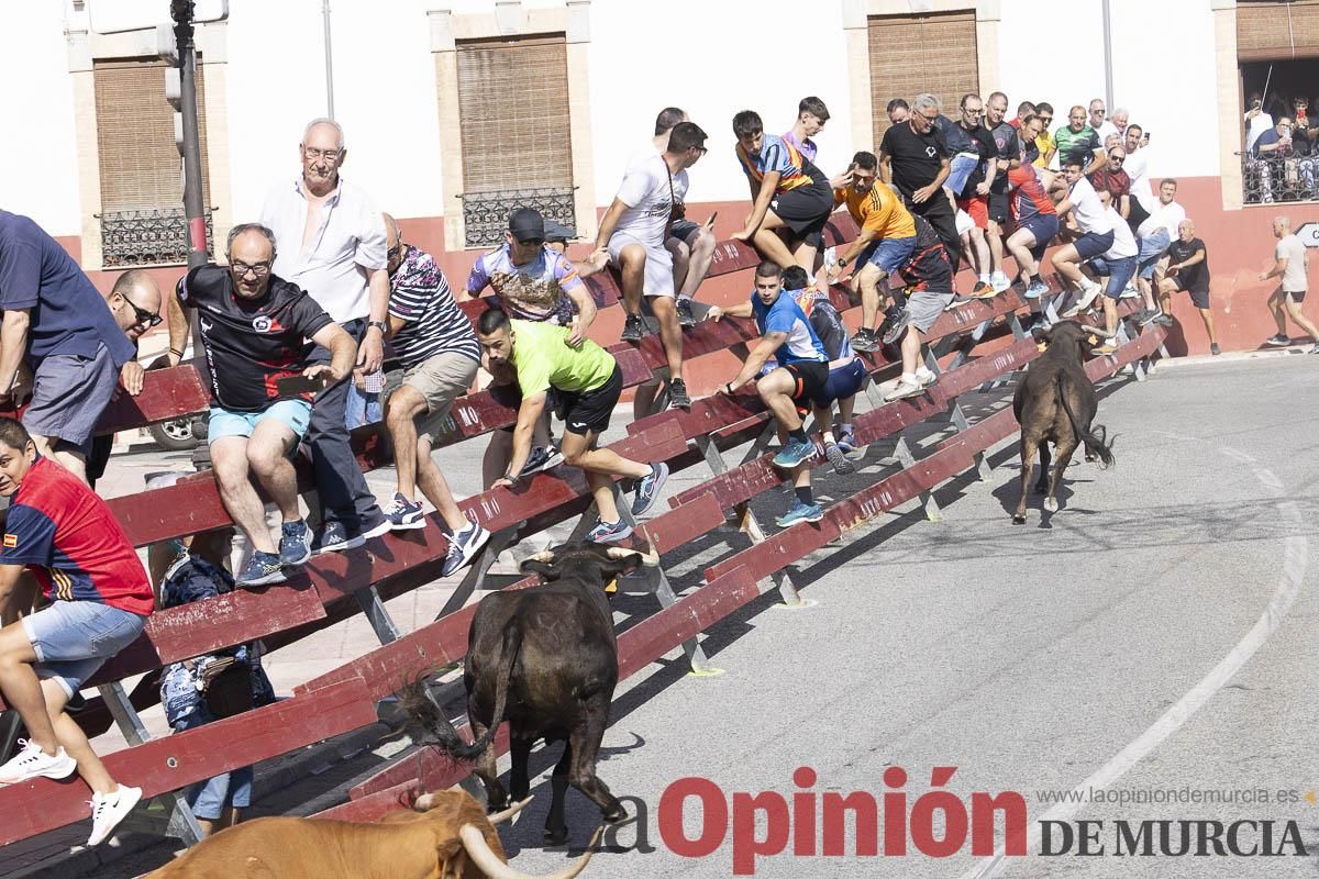 Sexto encierro de las Fiestas de Moratalla