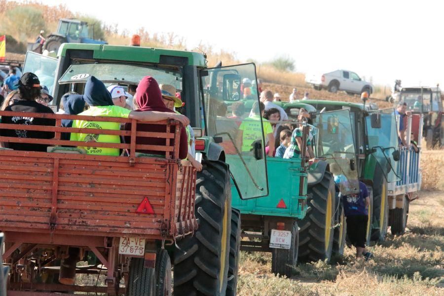 Fiestas en Zamora: Encierro en El Pego