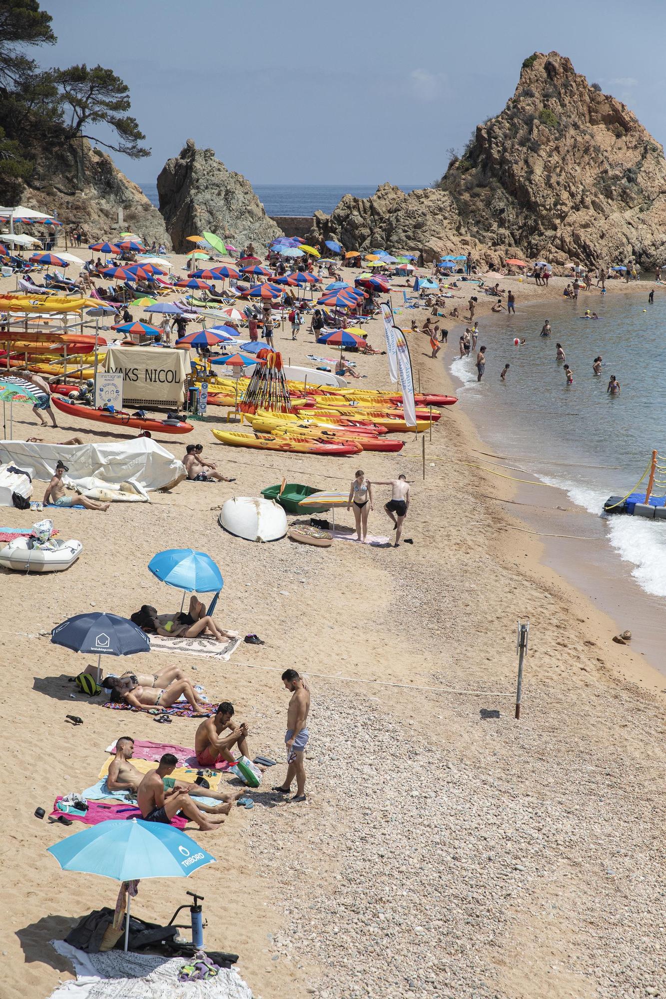 Alerta per calor entre dijous i divendres per màximes que poden superar els 38ºC