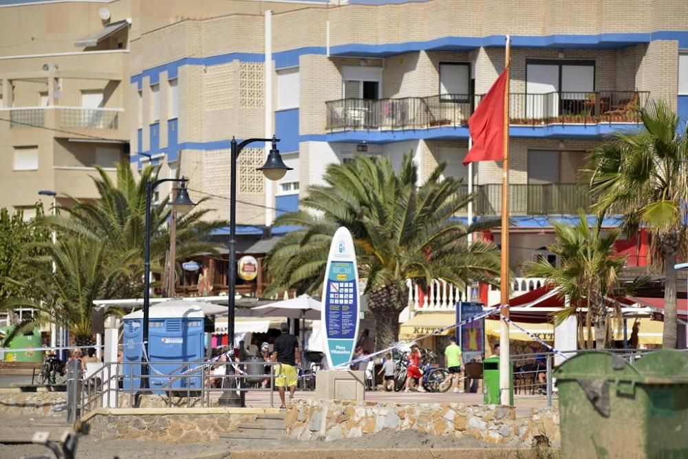 Mar Menor, una laguna sin vida