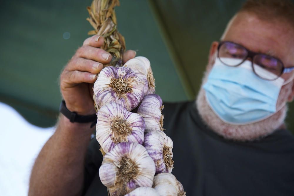 La Feria del Ajo de Zamora, reconvertida en Ifeza