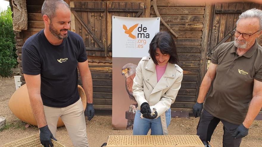 La concejala de Medio Ambiente, Tamara Rodríguez, visitando Dema junto a Pepe Antolín y un voluntario.