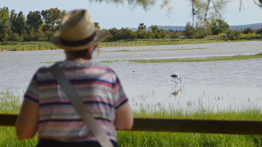 El parc dels Aiguamolls de l’Empordà.