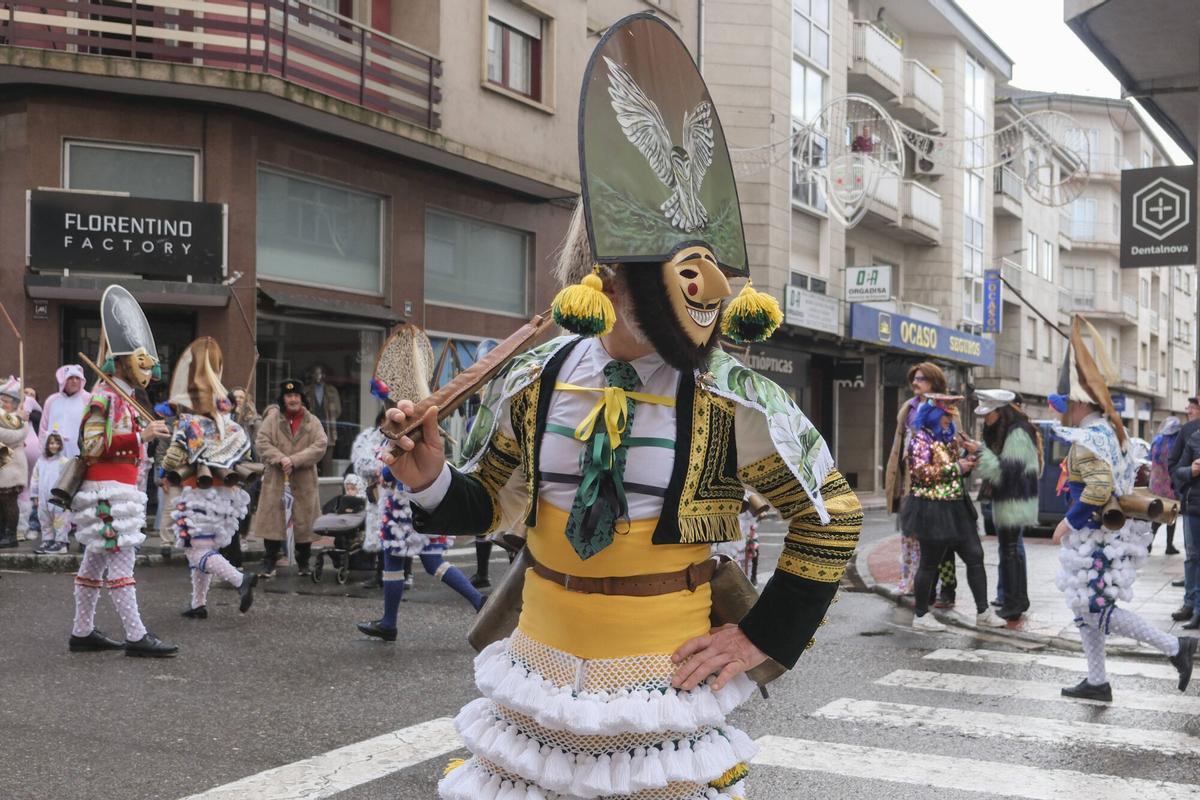 Los cigarróns recorrieron las calles de Verín