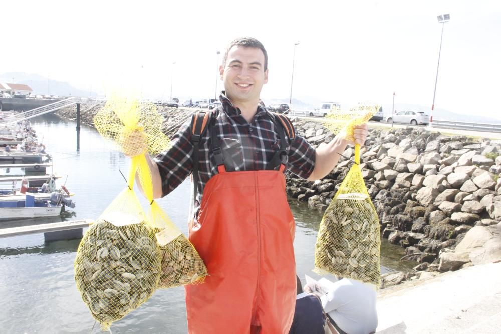 Tibio arranque del libre marisqueo en Cangas