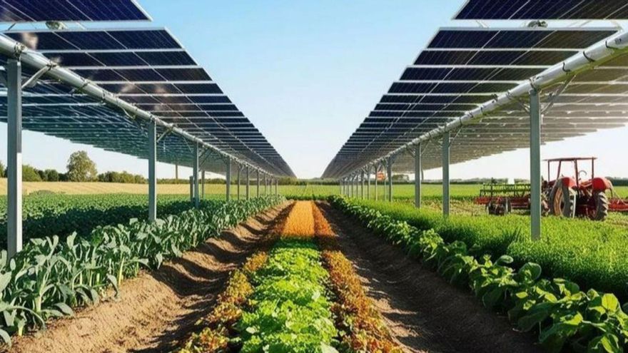 Günstig und nachhaltig: So will eine gemeinnützige Energiegenossenschaft die Stromkosten auf Mallorca senken