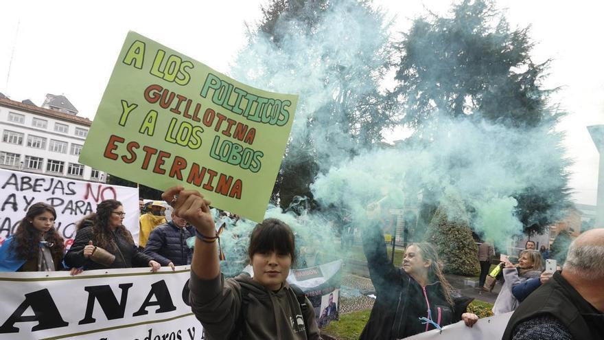 Todos los partidos asturianos respaldan la manifestación contra el tratado con Mercosur: el consejero de medio Rural y representantes de PP, Vox, IU y Foro se suman a las movilizaciones