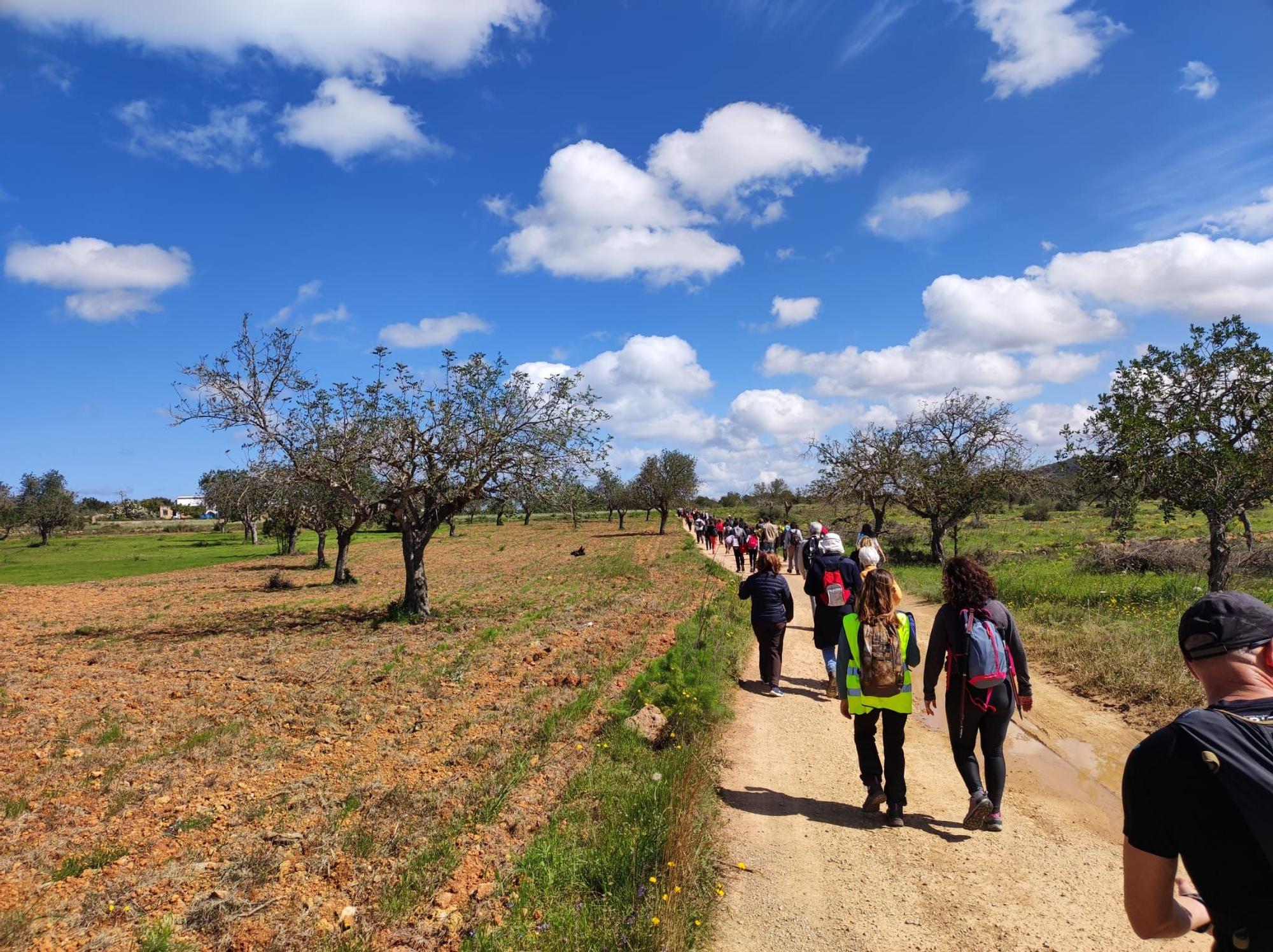 Reivindicación de los caminos públicos de Ibiza