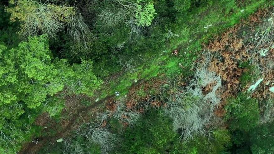 El espectacular vídeo que resume el VI Trail do Trega