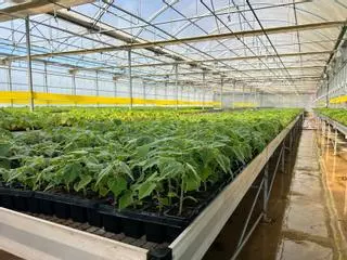 Los cinco empresarios que quieren catapultar una pyme catalana que clona plantas