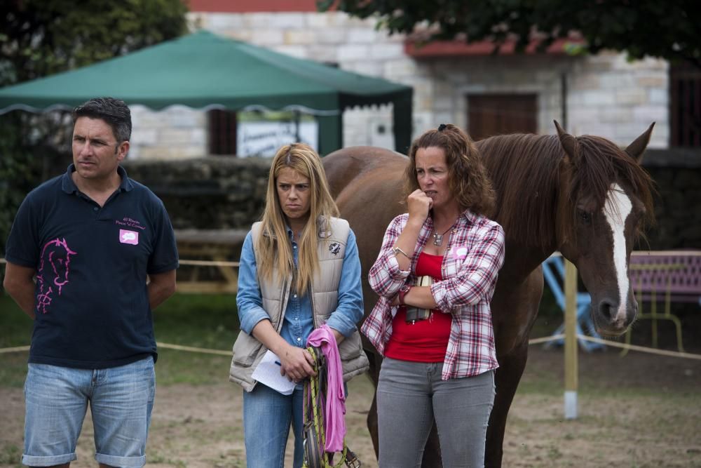 'Coaching' con caballos para empresarios