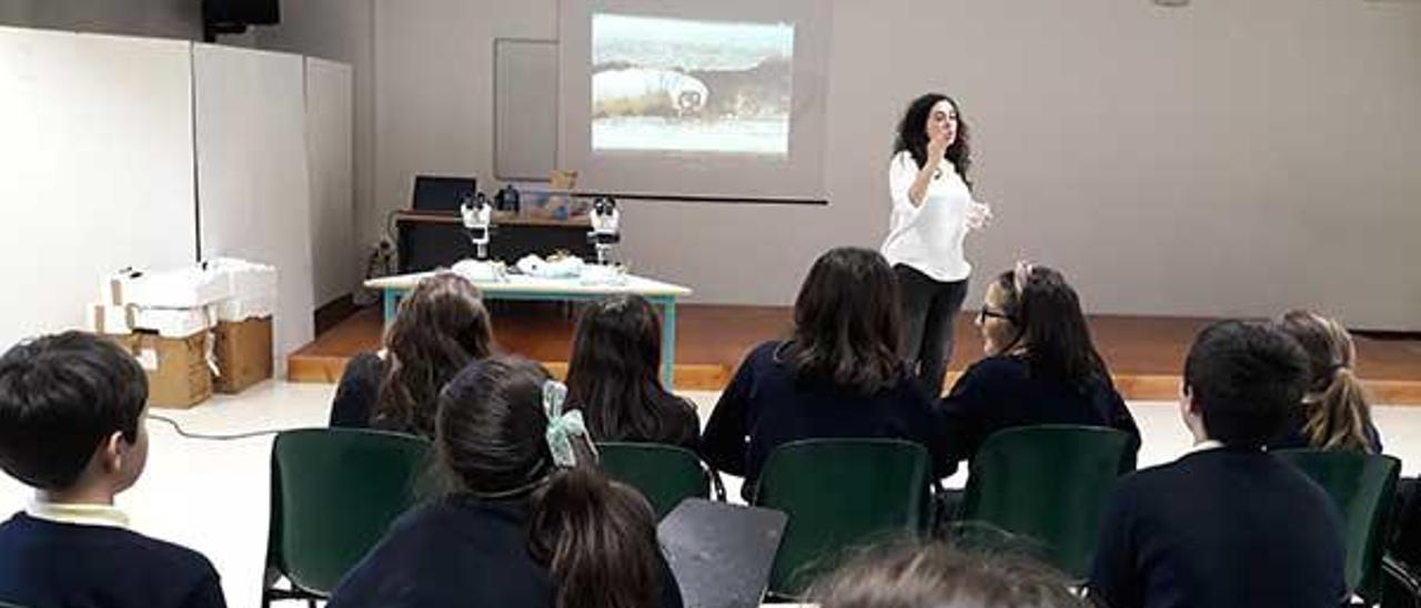 Una imagen de la charla de la investigadora del CSIC Ana Cao a los alumnos del colegio Bouza Brey. FDV