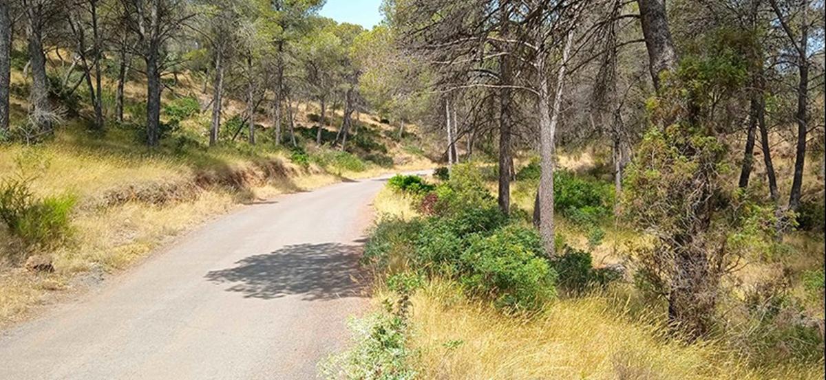 Camino del Povitxol.