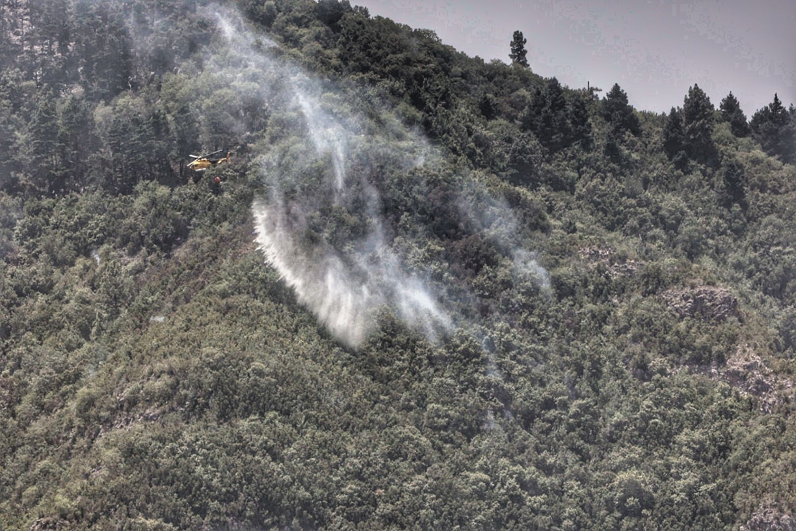 Incendio del norte de Tenerife (25/07/2022)