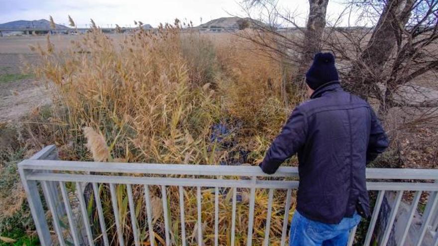 La Acequia del Rey, un foco insano