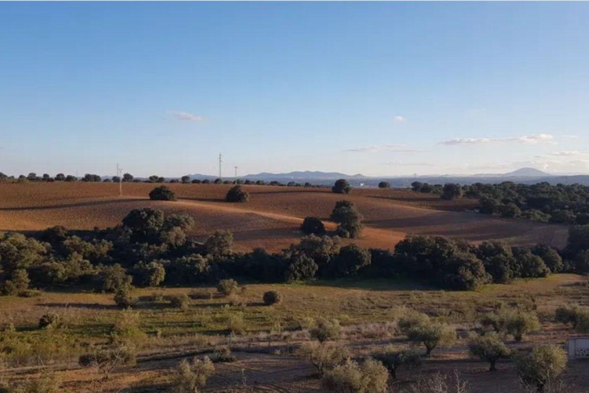 Ubicada en la zona norte de la capital de Toledo, este cigarral de 1.650 metros cuadrados se vende por 6,8 millones de euros