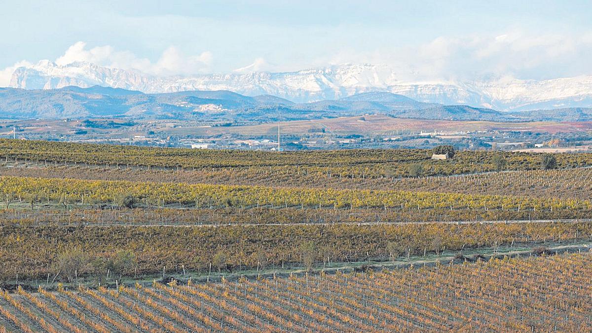 Campos de la bodega Laus, en el Alto Aragón.