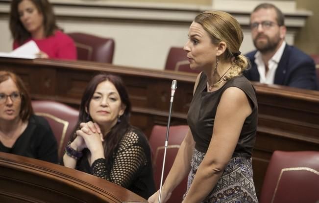 18/04/2017.CANARIAS POLITICA.Pleno del Parlamento de Canarias..Fotos: Carsten W. Lauritsen