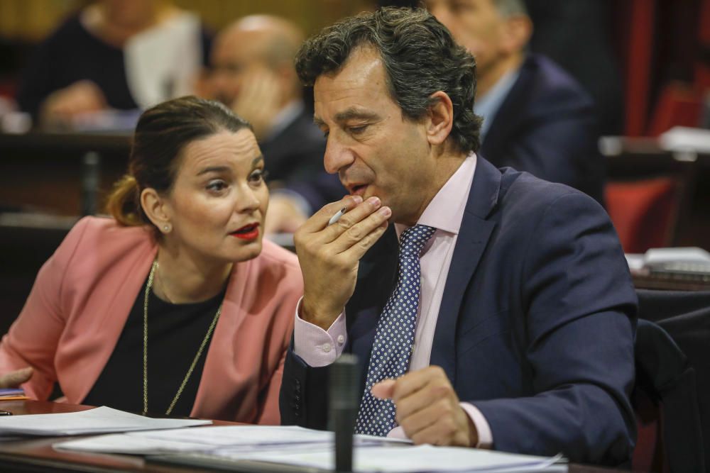 Pleno del Parlament 26 de febrero de 2019