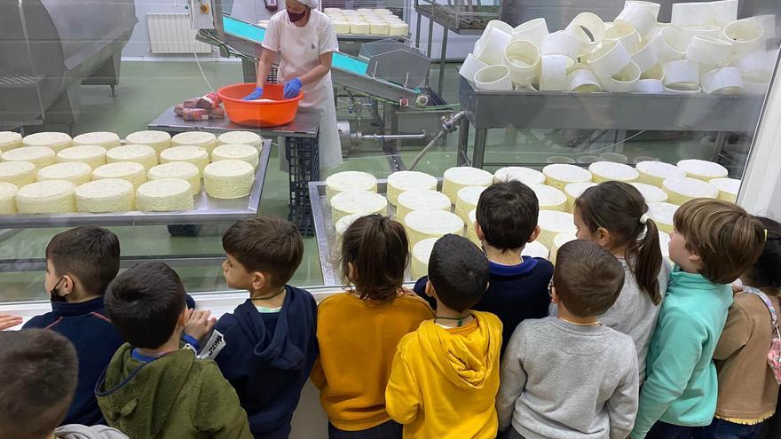 La quesería de Villaviciosa que se cuela entre las mejoras experiencias turísticas del mundo