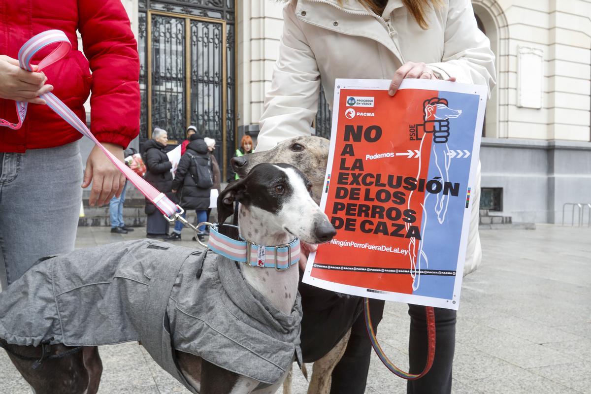 Concentración de protesta para pedir al PSOE y a Unidas Podemos que incluyan a los perros de caza, guarda y actividades específicas en el proyecto de ley de protección animal