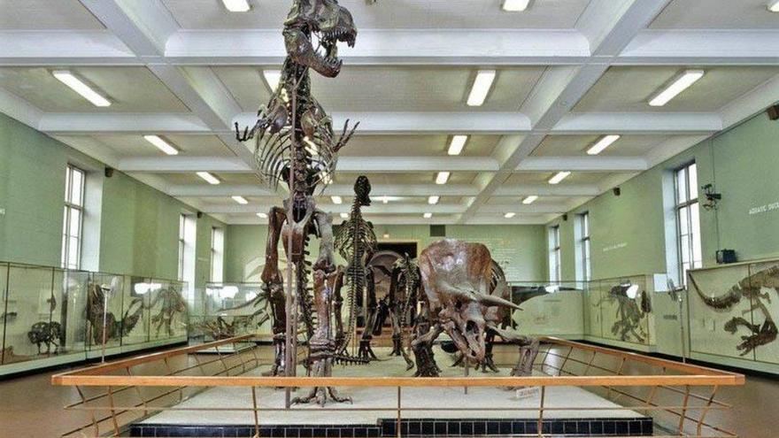 El Museo de Historia Natural de Nueva York planea reabrir el 9 de septiembre