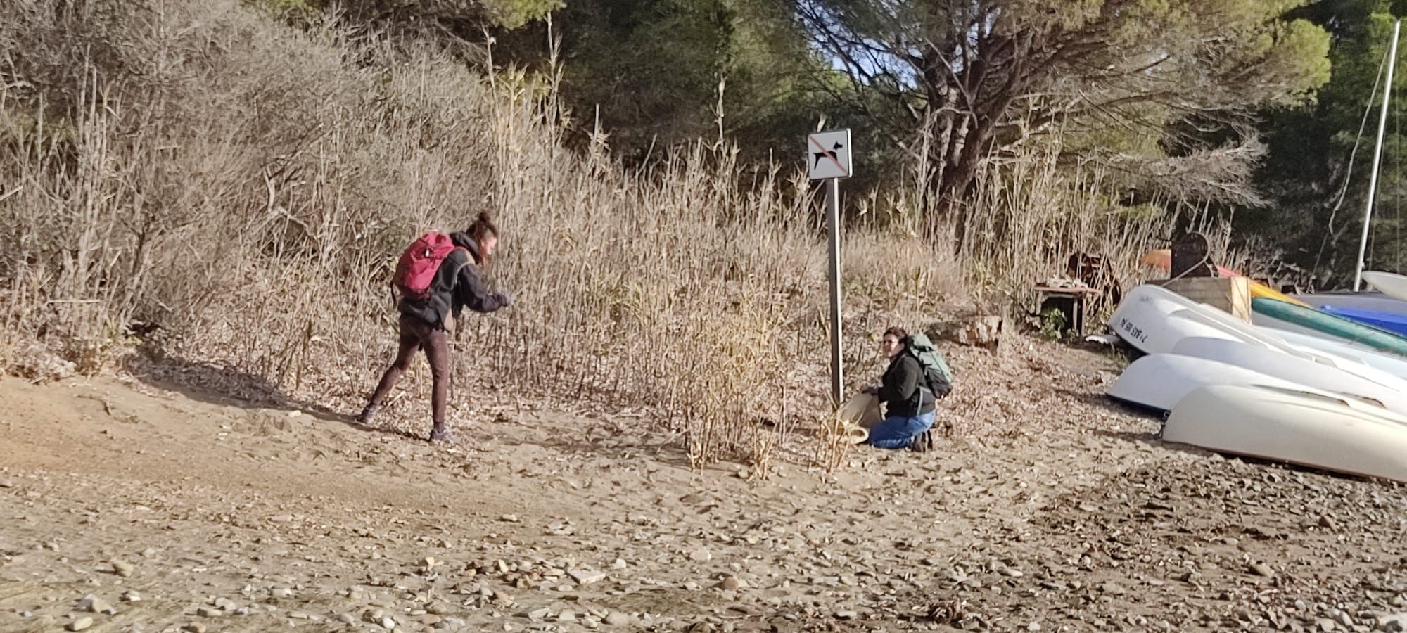 Platges Netes de Llançà inicia la seva novena temporada d'accions ambientals