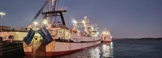 La flota inicia fuerte la pesca de calamar en Malvinas con más de 16.000 toneladas