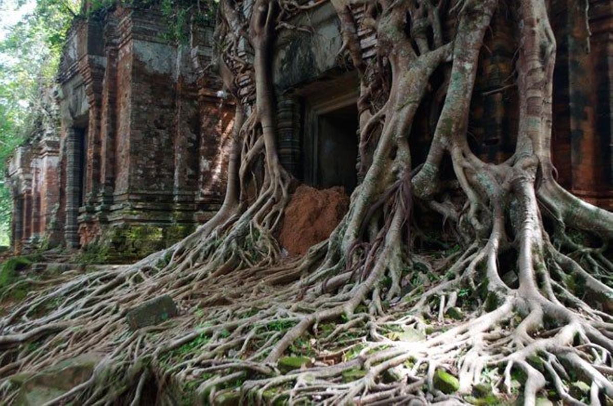 En Koh Kher se pueden &quot;descubrir&quot; tesoros arquitectónicos en medio de la jungla