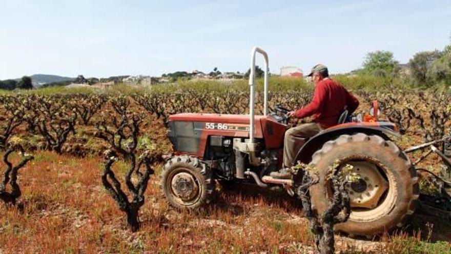 L&#039;ocupació al sector agrari català ha caigut un 1,6% del 2001 al 2016.