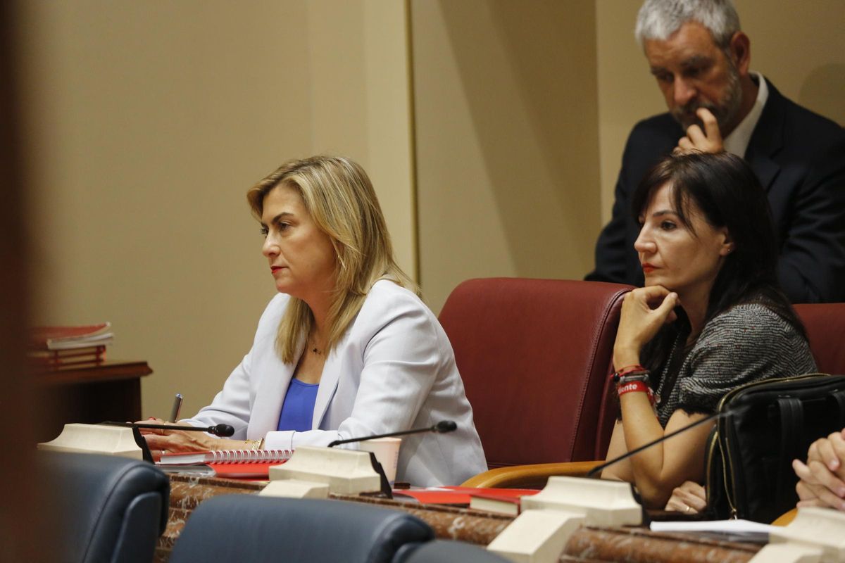 La portavoz del Grupo Socialista, Carmina Fernández, y la viceportavoz Marisol Sánchez.
