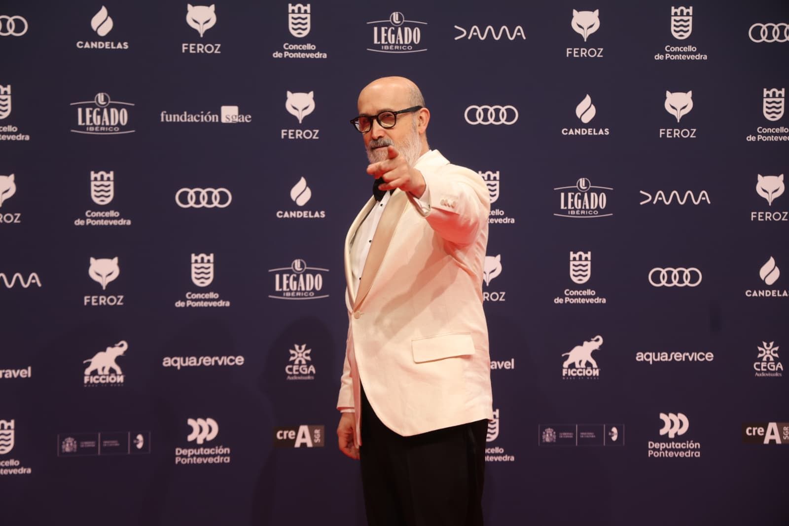 El actor Javier Cámara