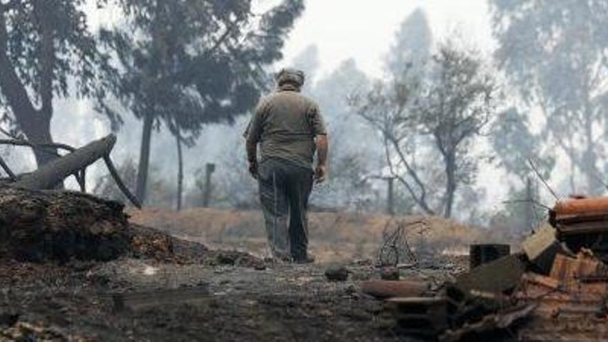 Un home camina per un bosc arrasat per les flames