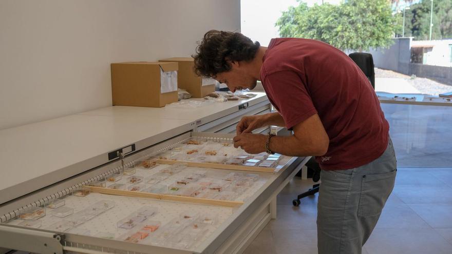 Un investigador en las instalaciones del Laboratorio de Arqueología.