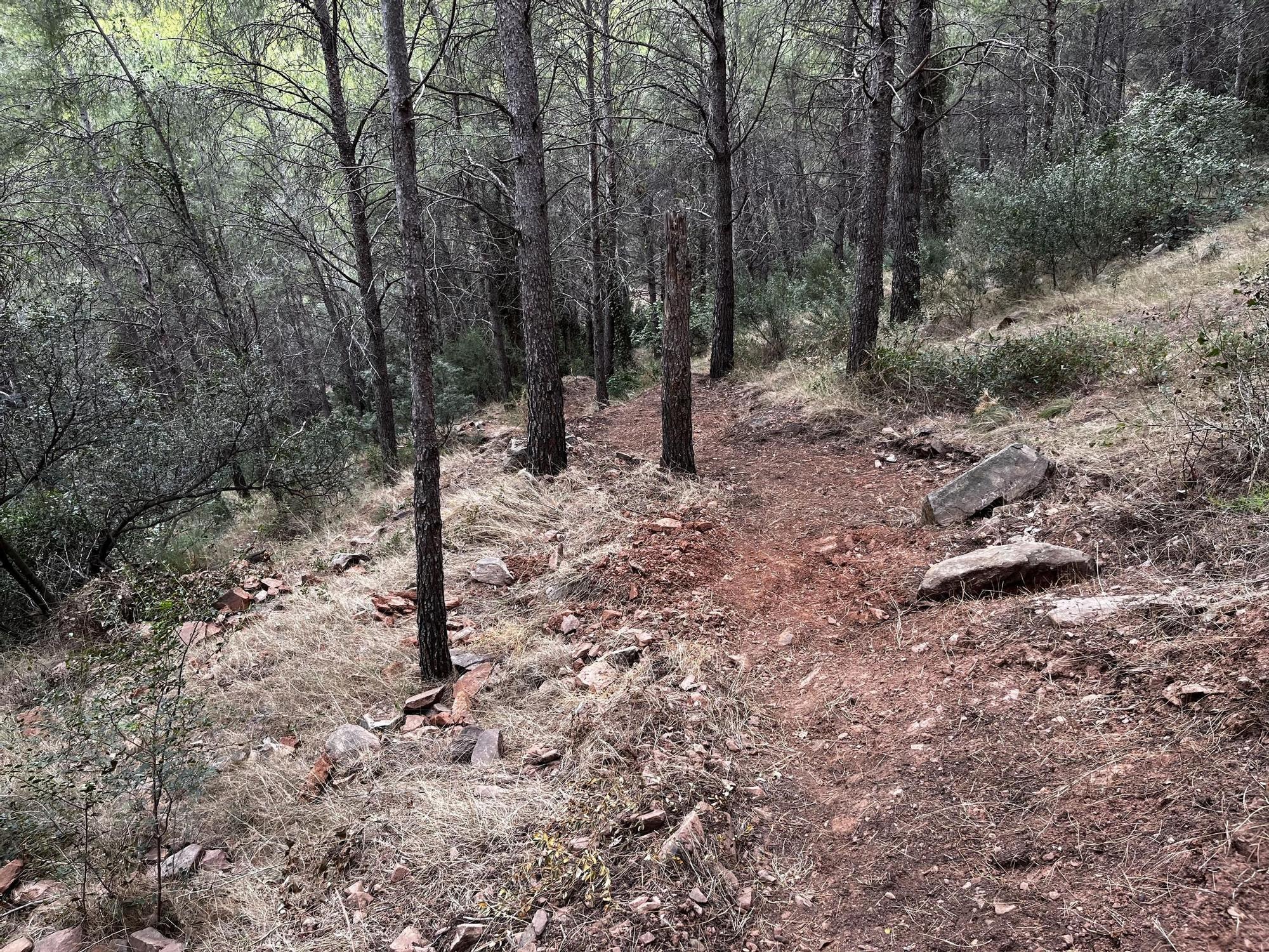 Las imágenes de la pista ilegal abierta en la Vilavella para practicar BTT