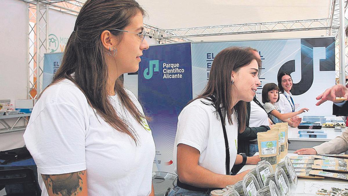 Estand de la Universidad de Alicante