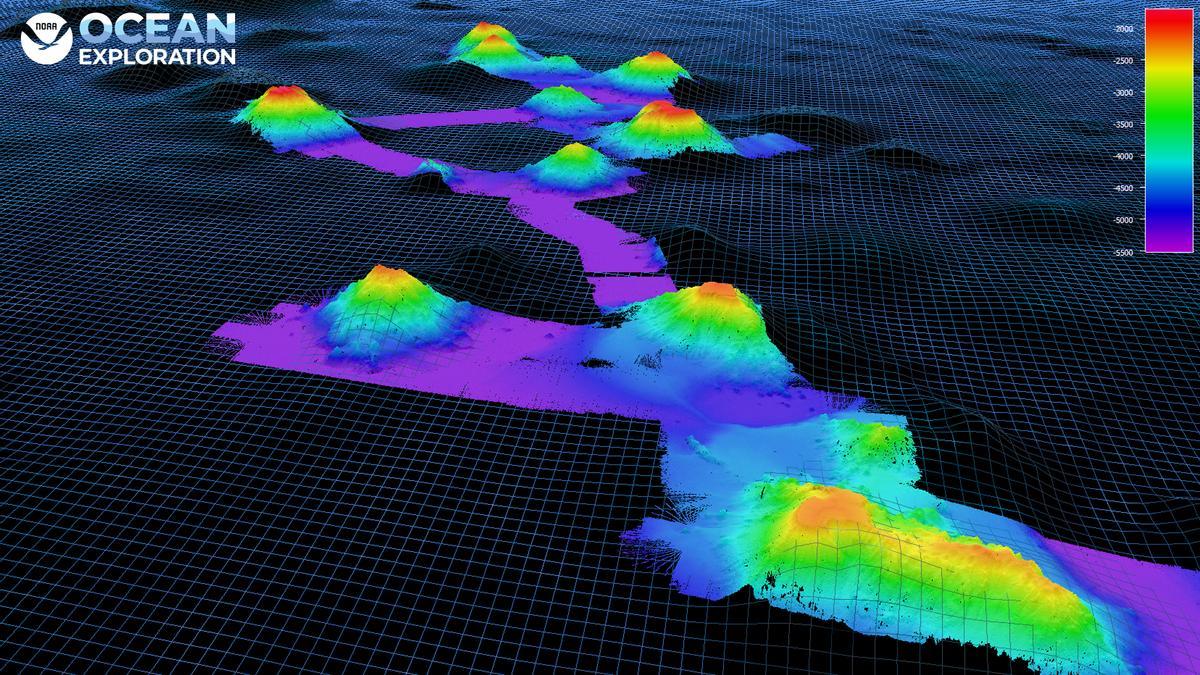 Cadena de volcanes submarinos, también conocidos como montes submarinos.