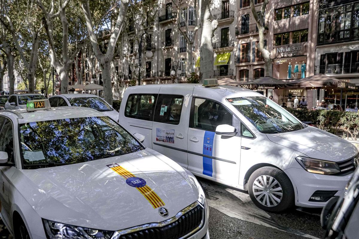 Un taxi de Palma y otro de Calvià en el Born este agosto.