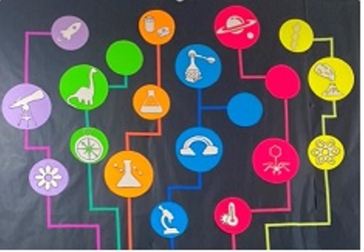 Raíces da ciencia no CEIP García Barbón