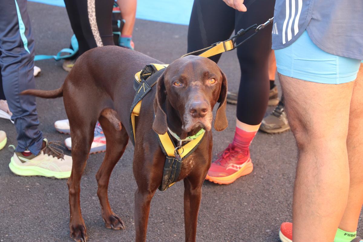 La Anaga Trail llena de juguetes a los niños