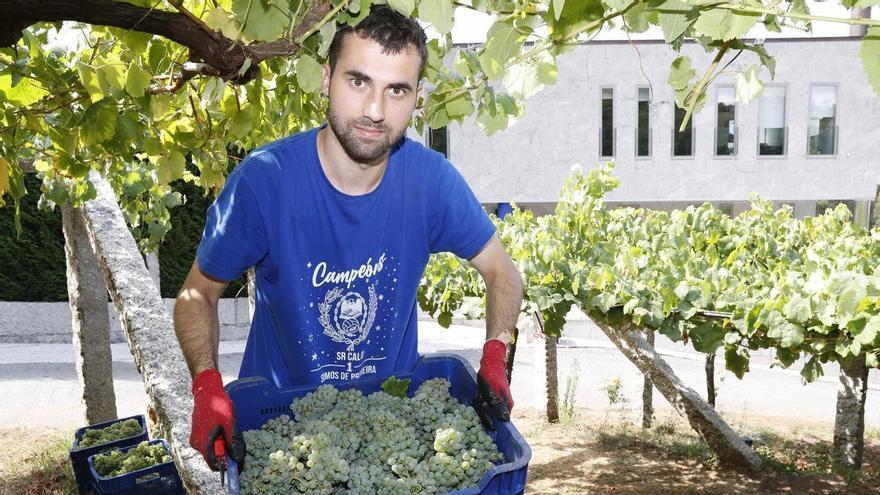 Mar de Frades presenta tres vinos inéditos, aún sujetos al proceso de investigación