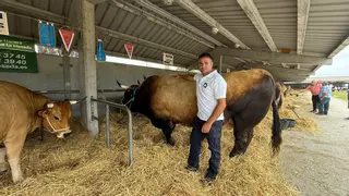"Bolero", el toro campeón de los Díaz Carbajosa sigue triunfando en Llanera: "Es especial por todo, por su capa, su pecho y su linaje"