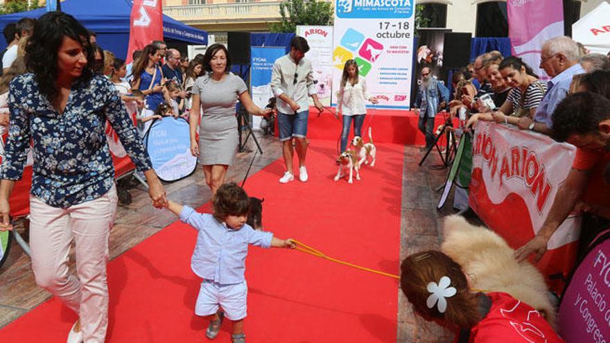 La pasarela canina fue el preludio, el fin de semana pasado, de la feria Mi Mascota 2015.