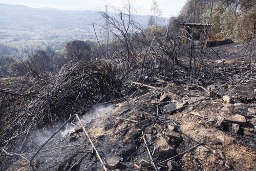 L'endemà de l'incendi a Girona