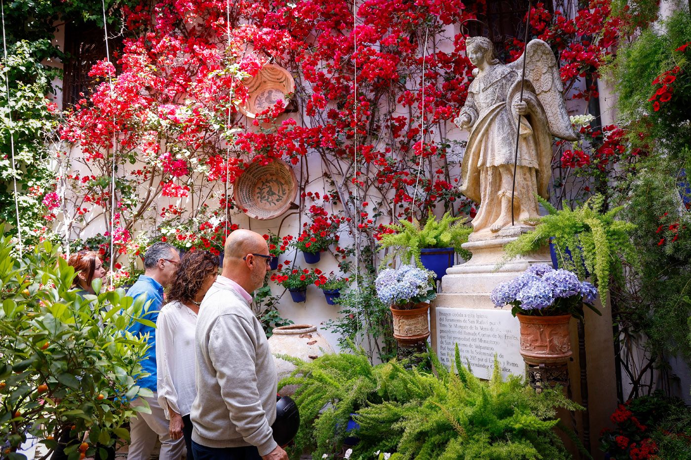 Patios de Córdoba: Plaza de San Rafael 7