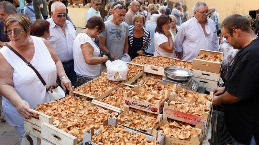 Quinze idees per sortir de casa aquest dissabte a les comarques gironines